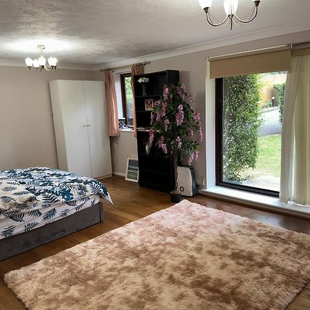 Stunning 2 Bedroom With Garden Sleep 6 Londyn Zewnętrze zdjęcie